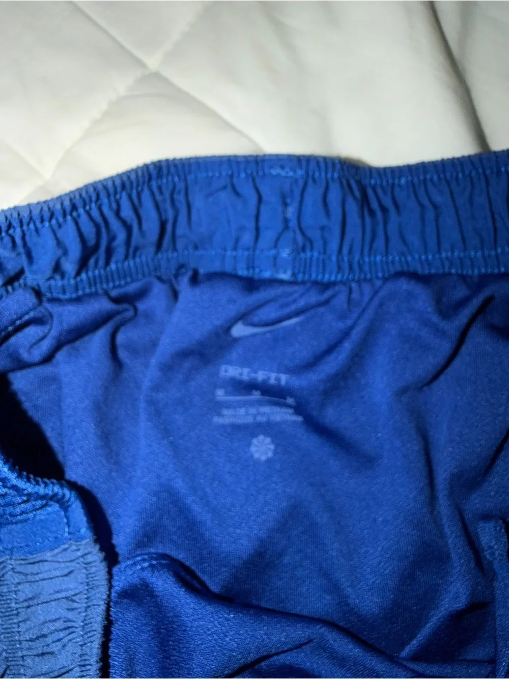 Nike Women’s Royal Blue Athletic Shorts